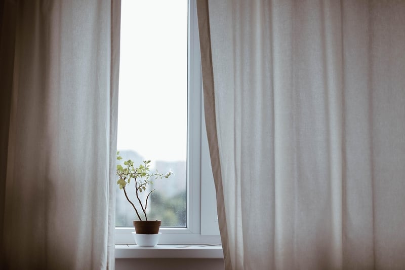 Indoor Planting Tips